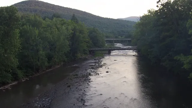 Phoenicia Black Bear Campground Picture 4