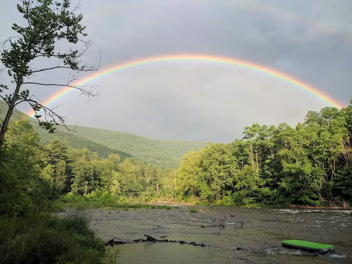 Phoenicia Black Bear Campground Picture 6