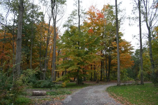 Phoenicia Black Bear Campground Picture 7