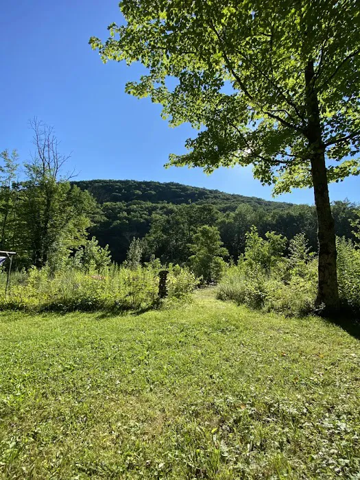 Upper Esopus Creekside Camp Picture 8
