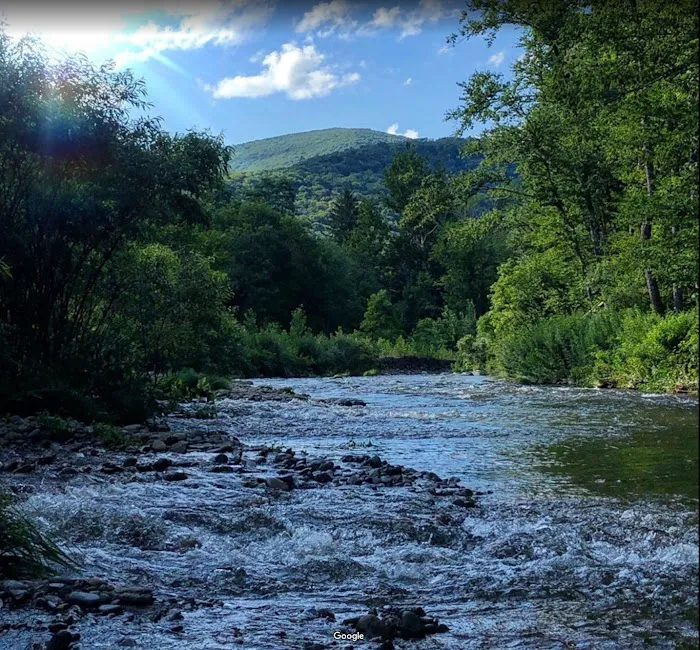 Upper Esopus Creekside Camp Picture 7