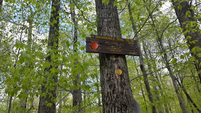 Mongaup Pond Campground Picture 1