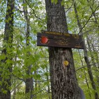 Mongaup Pond Campground ico