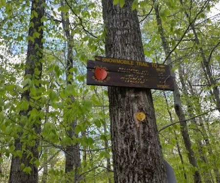 Mongaup Pond Campground