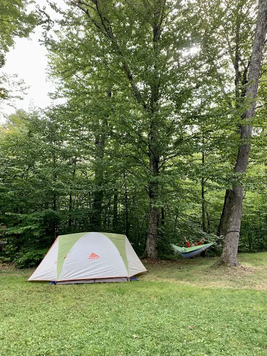 Mongaup Pond Campground Picture 4