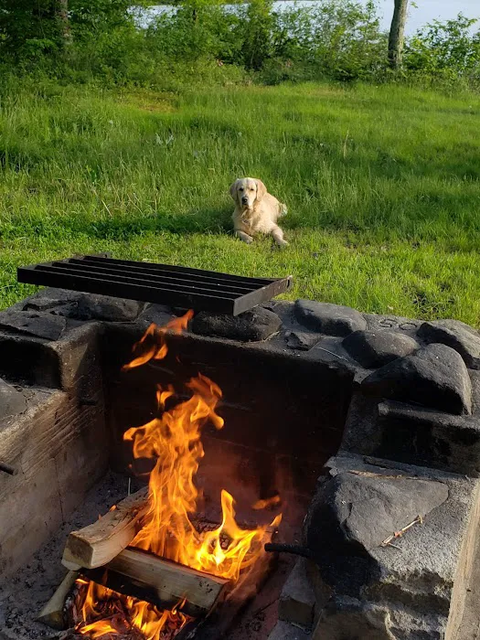 Mongaup Pond Campground Picture 3