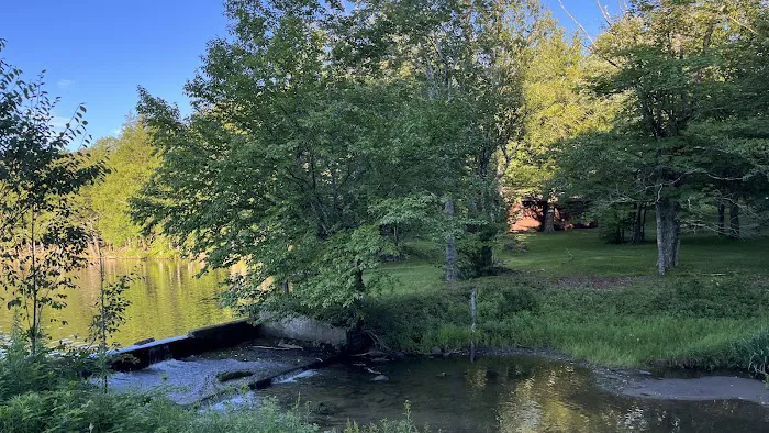 Mongaup Pond Campground Picture 2