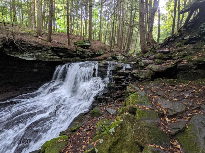 Mongaup Pond Campground Picture 6