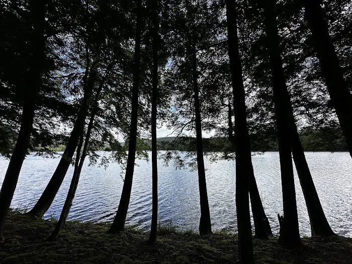 Mongaup Pond Campground Picture 9