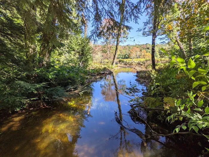 Mongaup Pond Campground Picture 7