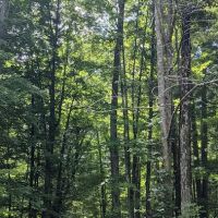 Ironwood Point Recreation Area ico