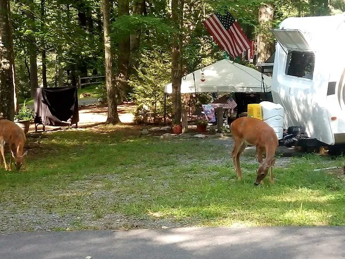 Ironwood Point Recreation Area Picture 4