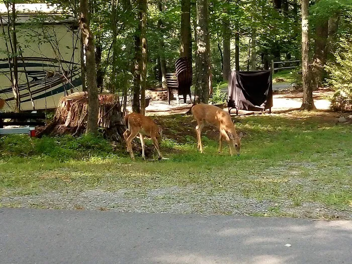 Ironwood Point Recreation Area Picture 8