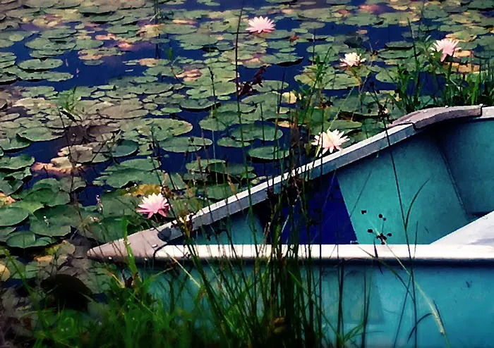 Lake Moc-A-Tek Campground Picture 2