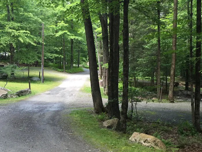 Ledgedale Recreation Area Picture 1