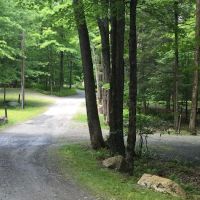 Ledgedale Recreation Area ico