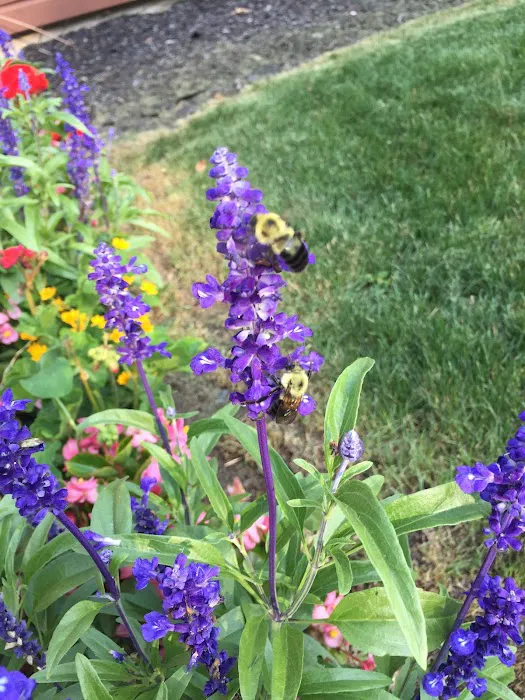 Ledgedale Recreation Area Picture 5