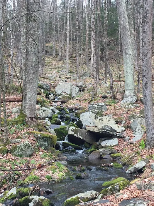 Ledgedale Recreation Area Picture 7