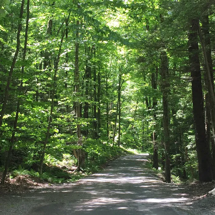 Ledgedale Recreation Area Picture 9