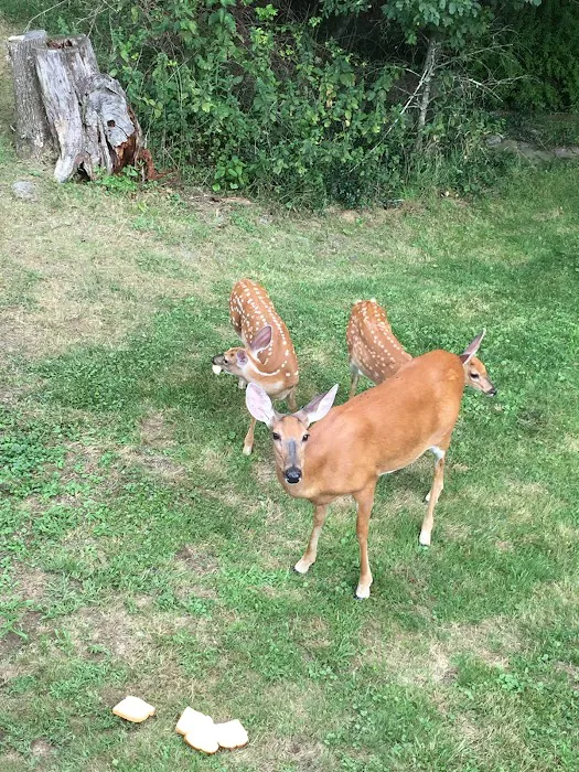 Ledgedale Recreation Area Picture 8