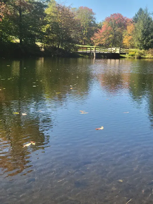 Tobyhanna Campground Picture 1