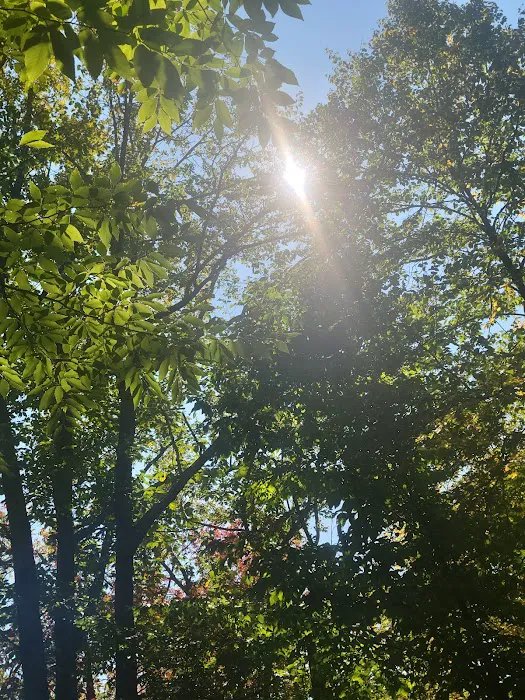 Tobyhanna Campground Picture 2