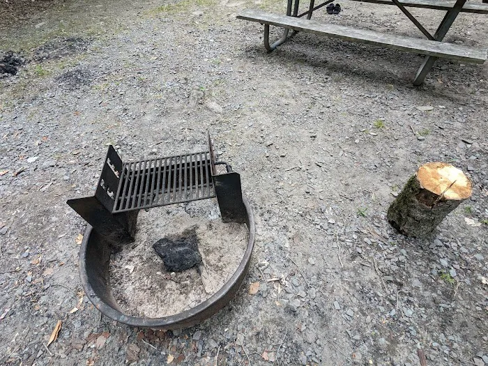 Tobyhanna Campground Picture 6