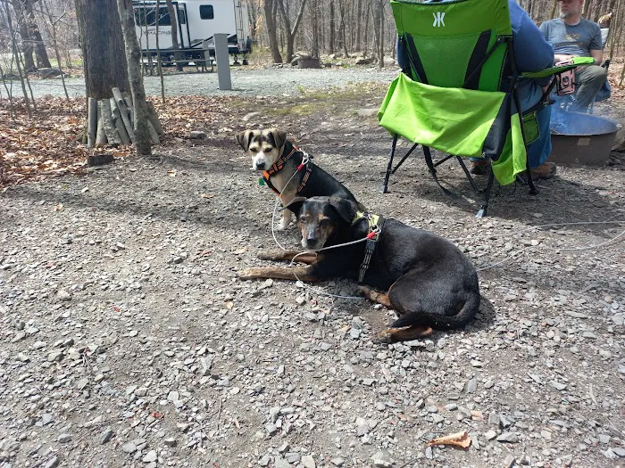 Tobyhanna Campground Picture 5