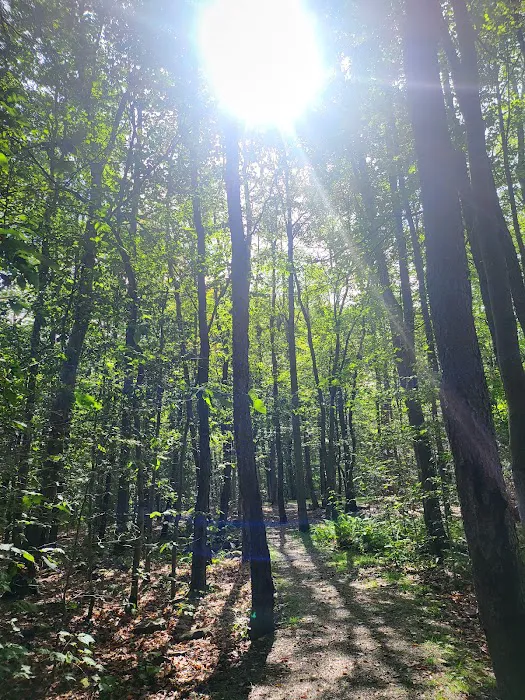 Tobyhanna Campground Picture 7