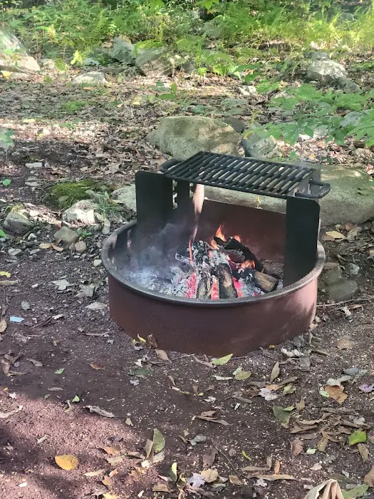 Tobyhanna Campground Picture 8