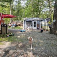 The Beulke Camphouse ico