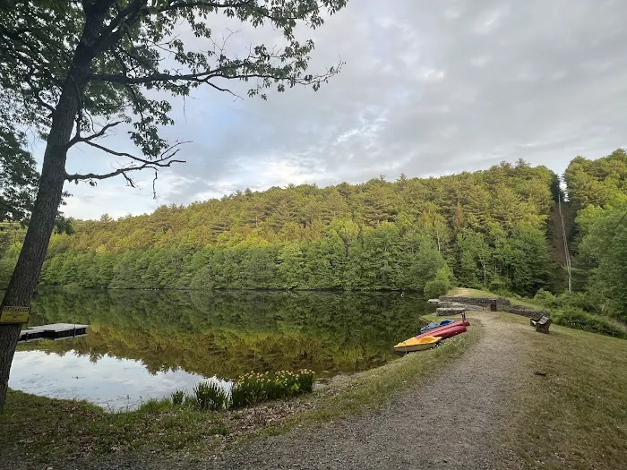 The Woods Camping Resort Picture 5