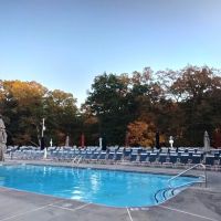 The Woods Camping Resort ico