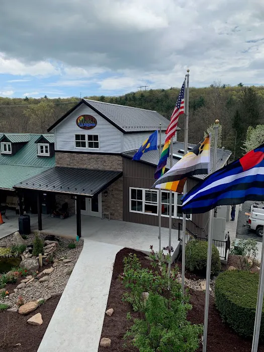 The Woods Camping Resort Picture 3