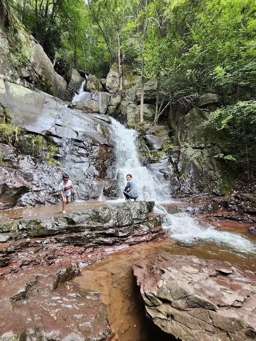 Pocono Camp & Glamp Picture 5