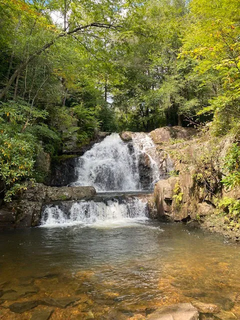 Pocono Camp & Glamp Picture 6