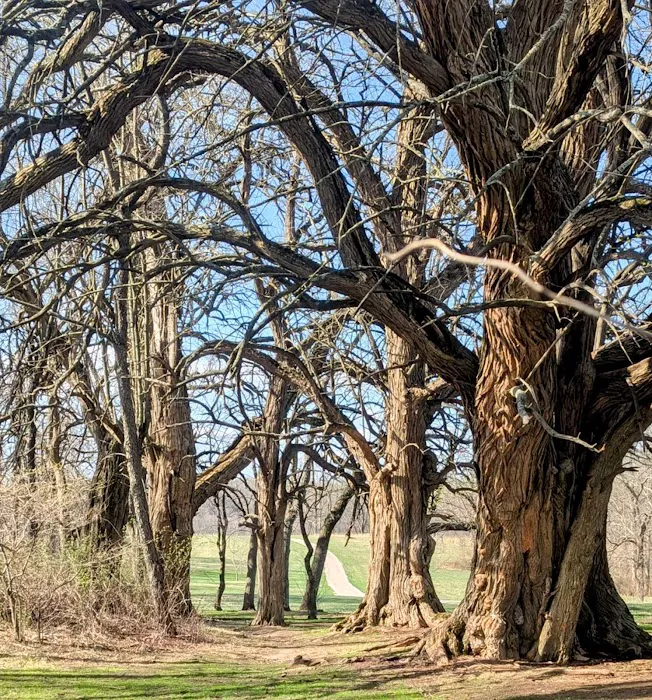 McCloskey Youth Campsite Picture 5