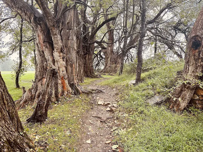 McCloskey Youth Campsite Picture 10