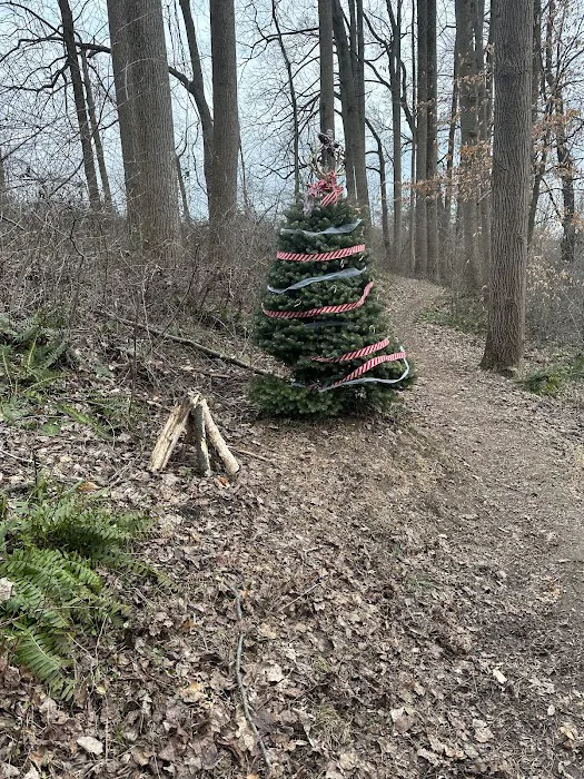 McCloskey Youth Campsite Picture 7