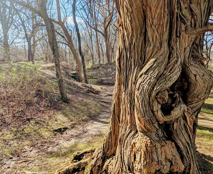 McCloskey Youth Campsite Picture 9
