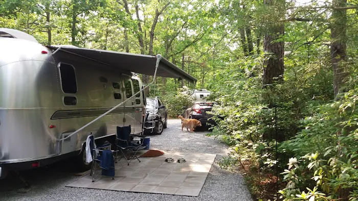 Jersey Shore Haven Airstream Park Picture 4