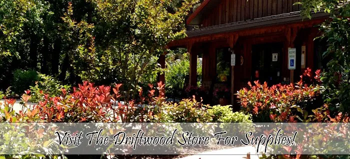 Driftwood Too! Camping Resorts Picture 7