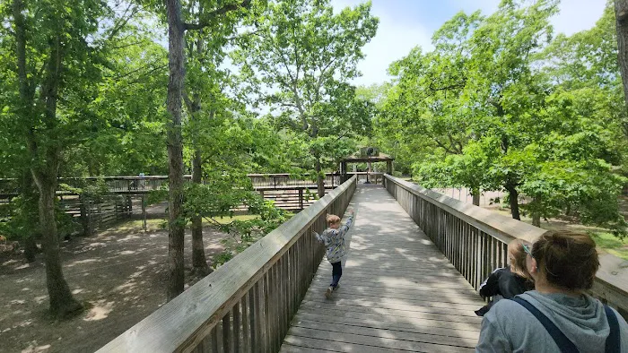 Thousand Trails Sea Pines Picture 3