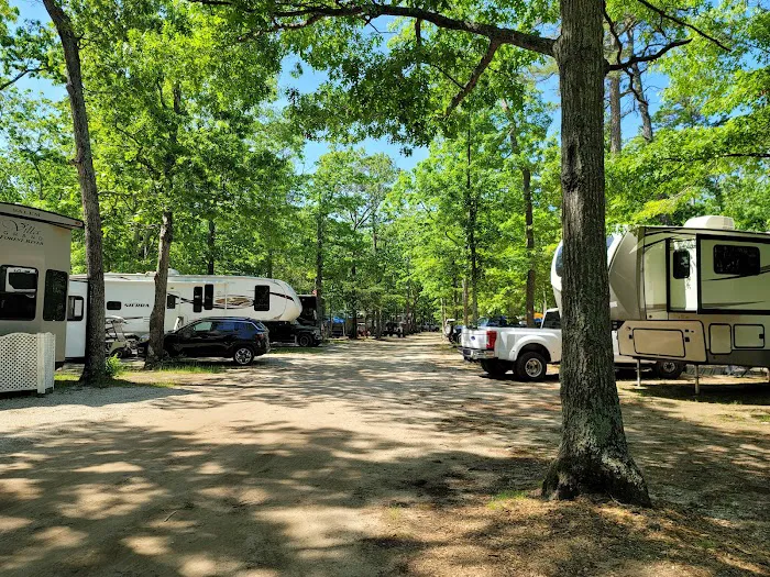 Thousand Trails Sea Pines Picture 9