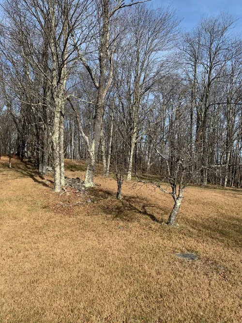 Namaste Catskills Picture 2