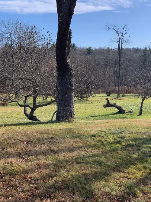 Namaste Catskills Picture 6