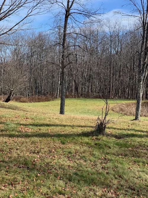 Namaste Catskills Picture 5