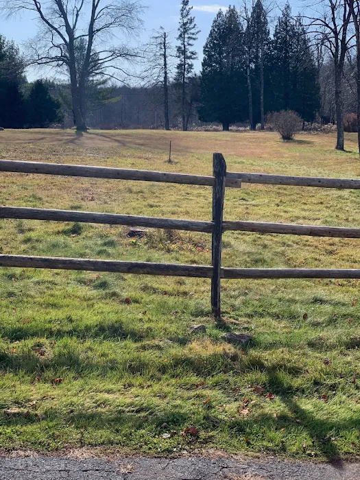 Namaste Catskills Picture 7