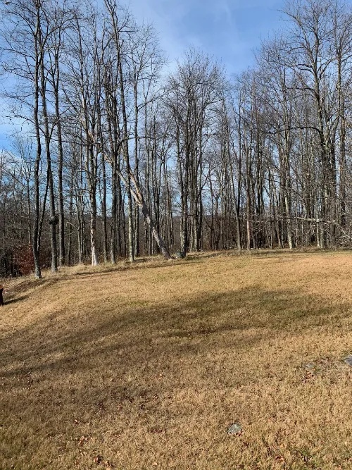 Namaste Catskills Picture 8