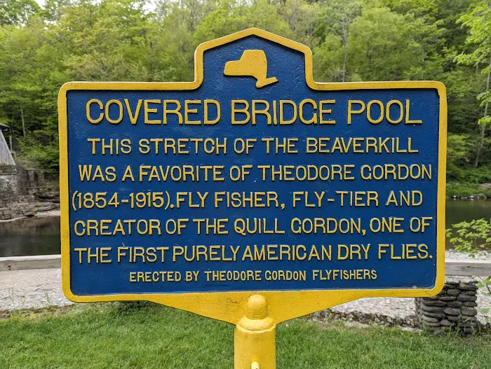 Beaverkill Campground Picture 5